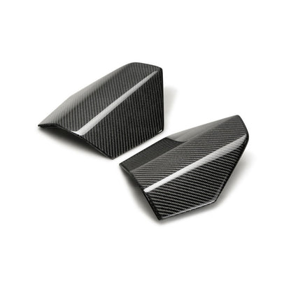 Seibon 2017 Honda Civic Type-R Carbon Fiber Rear Roof Trim - Graveyard Performance