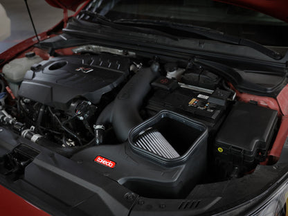aFe Takeda Stage-2 Pro Dry S AIS 19-20 Hyundai Veloster N L4 2.0L - Graveyard Performance