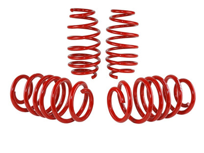 Skunk2 12 Honda Civic Lowering Springs (2.25 - 2.00in) (Set of 4) - Graveyard Performance