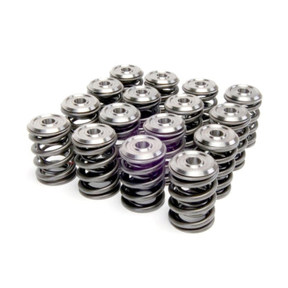 Skunk2 Alpha Series Honda/Acura B Series Valve Spring and Titanium Retainer Kit - Graveyard Performance