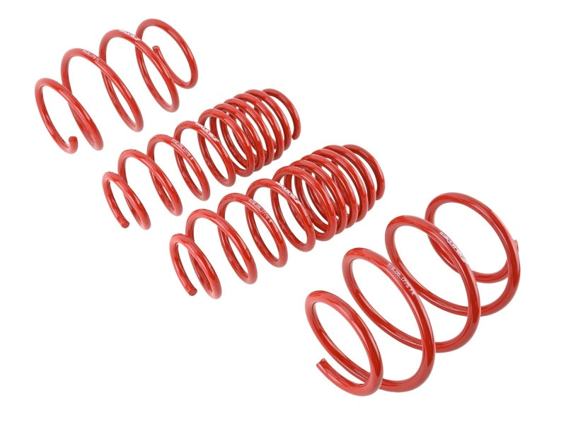 Skunk2 16-17 Honda Civic Lowering Springs (1.375in - 1.25in) (Set of 4) - Graveyard Performance