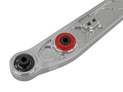 Skunk2 Honda/Acura EK Alpha Series Rear Lower Control Arm Set - Clear - Graveyard Performance