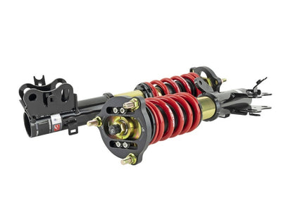 Skunk2 14-15 Honda Civic Pro ST Coilovers - Graveyard Performance