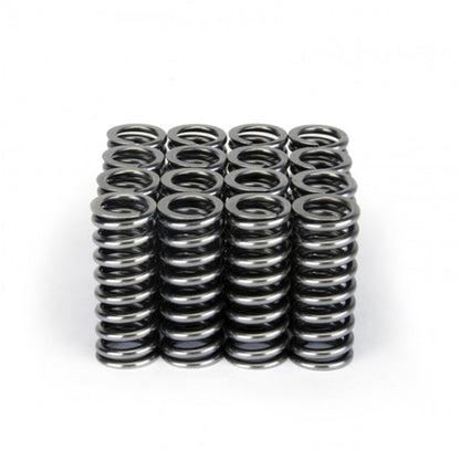 Skunk2 Alpha Series Honda D Series VTEC Valve Spring Set - Graveyard Performance