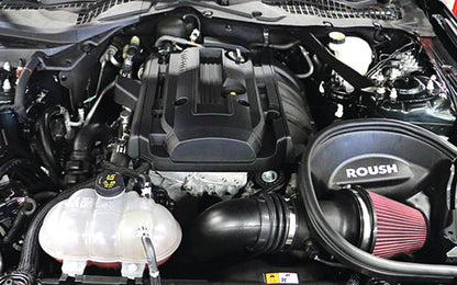 Roush 2015-2017 Ford Mustang 2.3L Cold Air Kit - Graveyard Performance