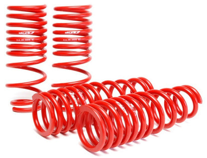 Skunk2 92-95 Honda Civic/Del Sol Lowering Springs (2.50in - 2.25in.) (Set of 4) - Graveyard Performance