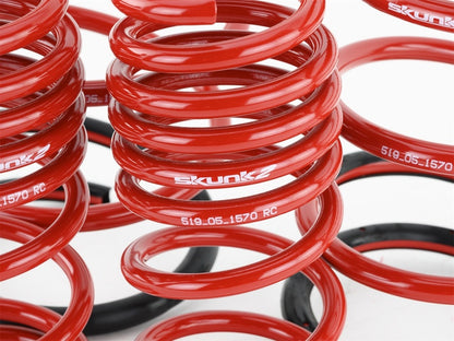 Skunk2 01-05 Honda Civic Lowering Springs (2.25in - 2.00in.) (Set of 4) - Graveyard Performance