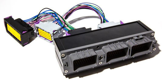 ECUMaster PnP Adapter For EMU Black | 1993-2002 Toyota Supra JZA80 2JZGTE