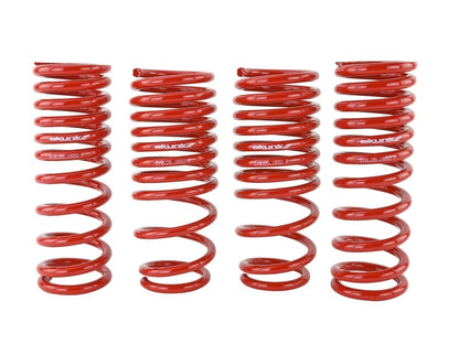Skunk2 88-91 Honda Civic/CRX Lowering Springs (2.50in - 2.25in.) (Set of 4) - Graveyard Performance
