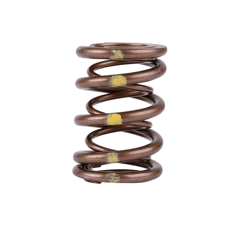 Skunk2 Pro Series Honda/Acura B-Series VTEC XP Valve Spring Set (Dual Springs) - Graveyard Performance