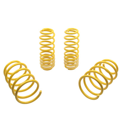 ST Sport-tech Lowering Springs Ford Mustang 5th gen. - Graveyard Performance