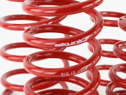 Skunk2 2013 FR-S/BRZ/FT86 Lowering Springs (Set of 4) - Graveyard Performance