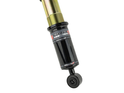 Skunk2 17-20 Honda Civic Si Pro-ST Coilovers - Graveyard Performance