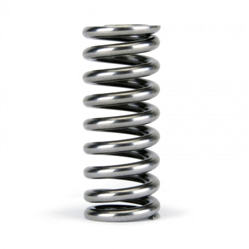 Skunk2 Alpha Series Honda D Series VTEC Valve Spring Set - Graveyard Performance