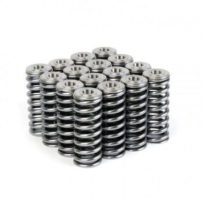 Skunk2 Alpha Series Honda/Acura D Series Valve Spring and Titanium Retainer Kit - Graveyard Performance