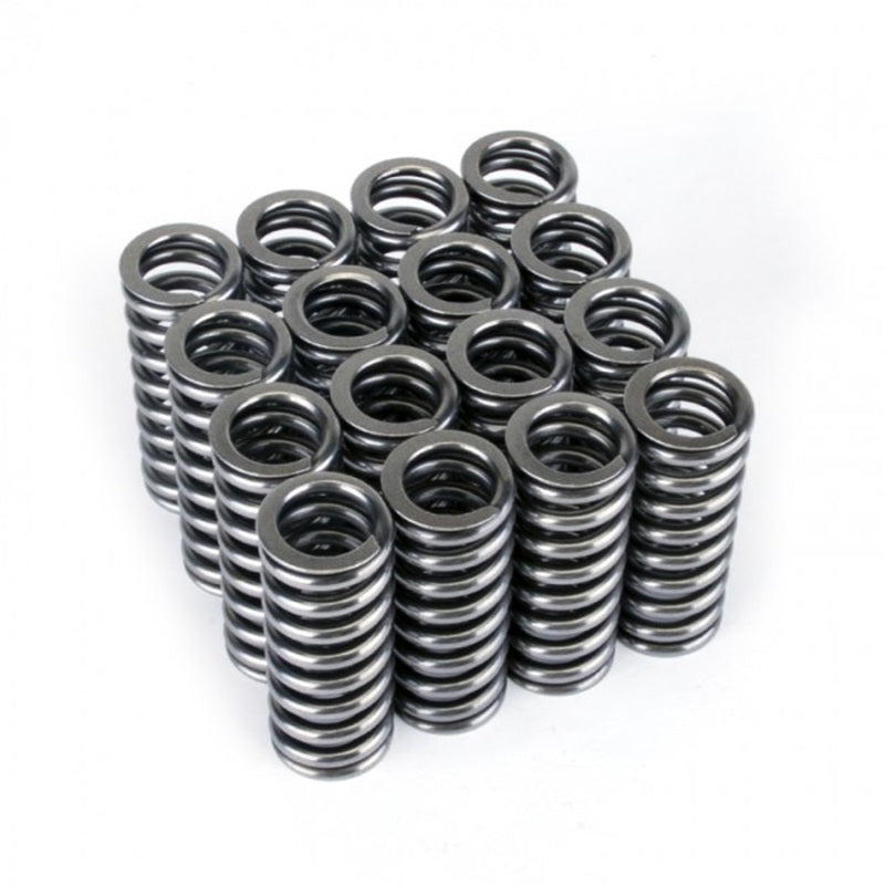 Skunk2 Alpha Series Honda D Series VTEC Valve Spring Set - Graveyard Performance