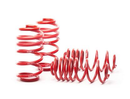 H&R 09-16 Audi A4 Quattro/S4 (AWD) B8 Super Sport Spring - Graveyard Performance