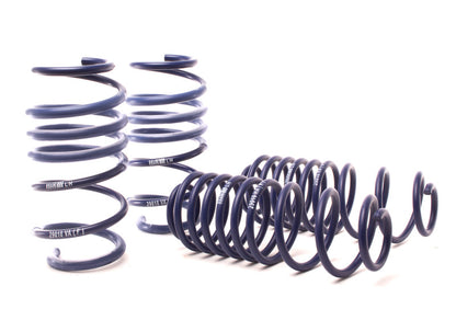 H&R 10-19 Ford Fiesta 1.6L/1.0L EcoBoost Super Sport Spring - Graveyard Performance