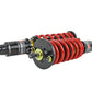 Skunk2 92-95 Honda Civic / 94-01 Acura Integra Pro-ST Coilovers (Front 10 kg/mm - Rear 10 kg/mm)