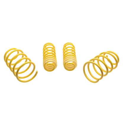 ST Sport-tech Lowering Springs Ford Mustang 5th gen. - Graveyard Performance