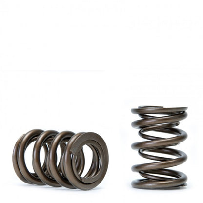 Skunk2 Tuner Series Honda/Acura (K20/K24/F20C/F22C) DOHC VTEC Alpha Valve Spring Set (Dual Springs) - Graveyard Performance