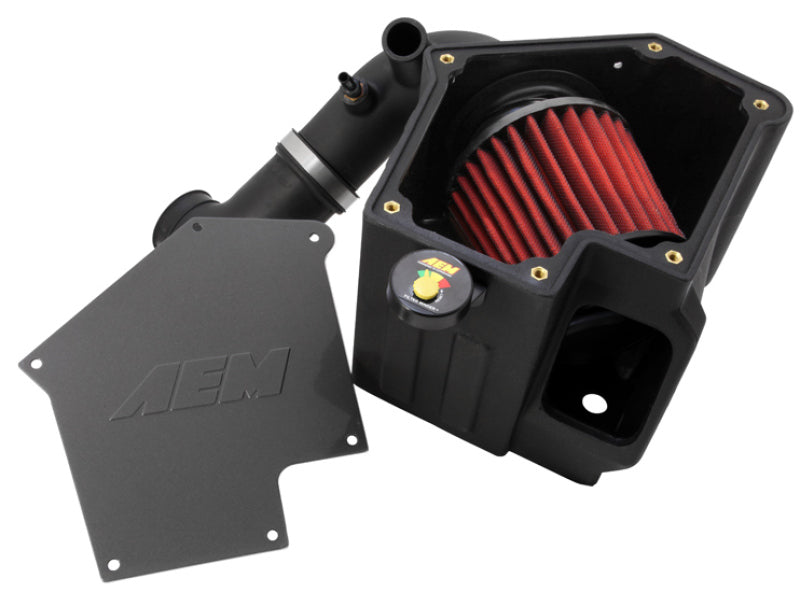 AEM 09-11 Mitsubishi Lancer Ralliart 2.0L L4 Cold Air Intake - Graveyard Performance