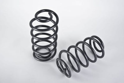 Belltech MUSCLE CAR SPRING SET 79-98 MUSTANG - Graveyard Performance