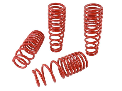 Skunk2 96-00 Honda Civic Lowering Springs (2.50in - 2.25in.) (Set of 4) - Graveyard Performance