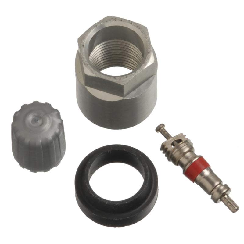 Schrader TPMS Service Pack - Chevrolet/GMC/Hummer - 25 Pack - Graveyard Performance