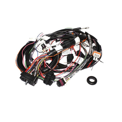 FAST Wiring Harness XIM For LS1 - Graveyard Performance