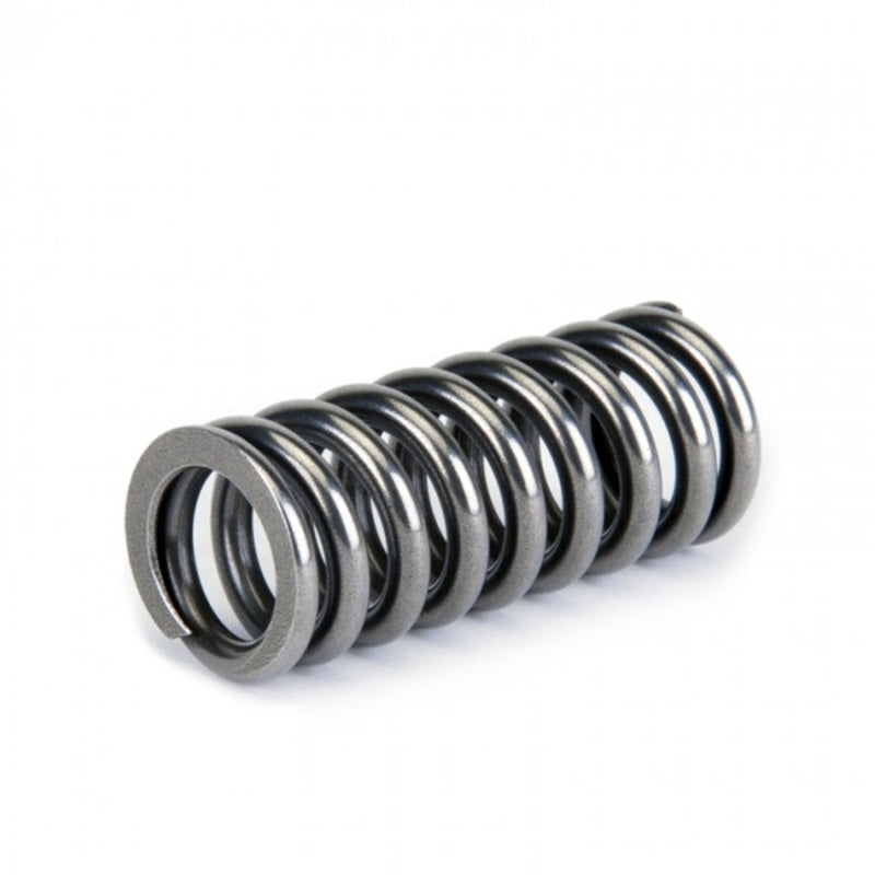 Skunk2 Alpha Series Honda D Series VTEC Valve Spring Set - Graveyard Performance