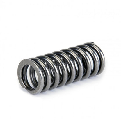 Skunk2 Alpha Series Honda D Series VTEC Valve Spring Set - Graveyard Performance