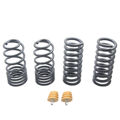 ST Sport-tech Lowering Springs Ford Mustang 3rd gen. / 4th gen. - Graveyard Performance