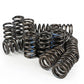 Brian Crower titanium Valve  Spring/Retainer Kit | 1G / 2G DSM & Evo