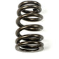 MAP Beehive Valve Spring Kit (Evo 8/9)