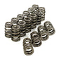 MAP Beehive Valve Spring Kit (Evo 8/9)