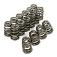 MAPerformance Beehive Valve Spring Kit w/ Titanium Retainers | 2003-2006 Mitsubishi Evo 8/9 (EVO-BSK-HP)